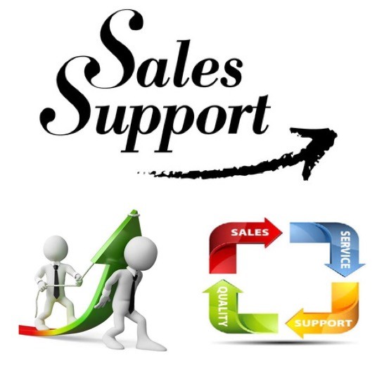 Sales Support Team Leader