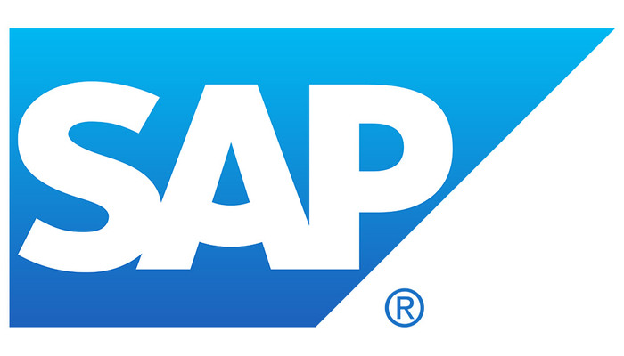 SAP BUSINESS DIRECTOR