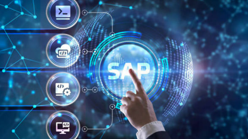 SAP BUSINESS DIRECTOR