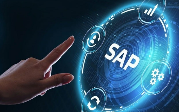 SAP CONSULTANT (FREELANCER/REMOTE)