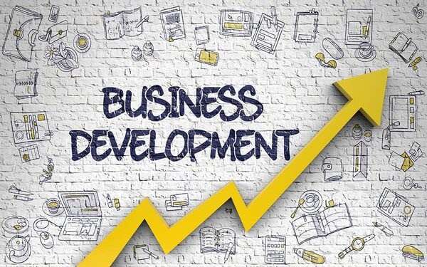 [Tokyo] Business Development Assistant