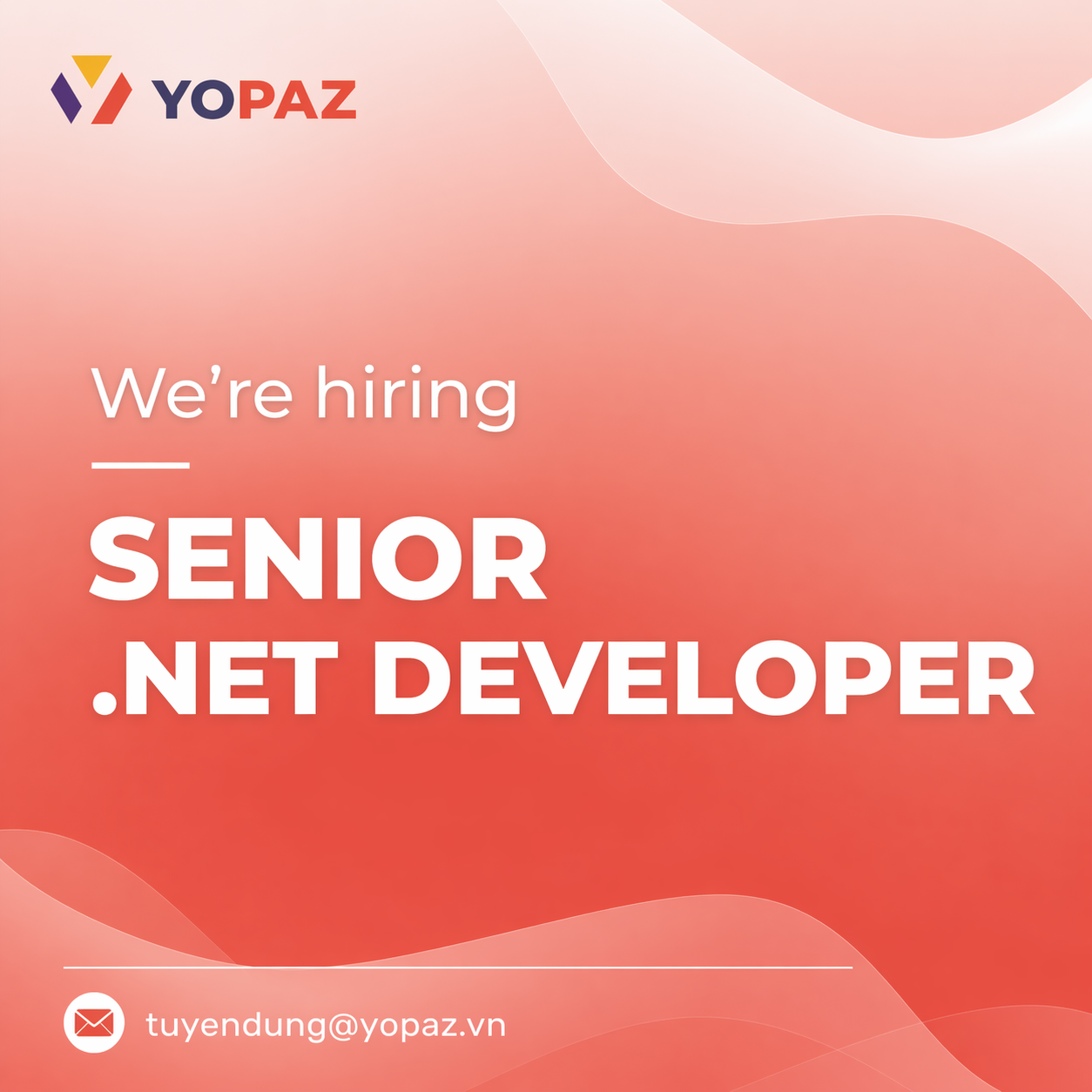SENIOR .NET DEVELOPER